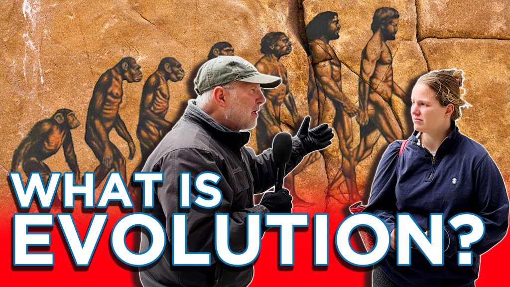 what is evolution